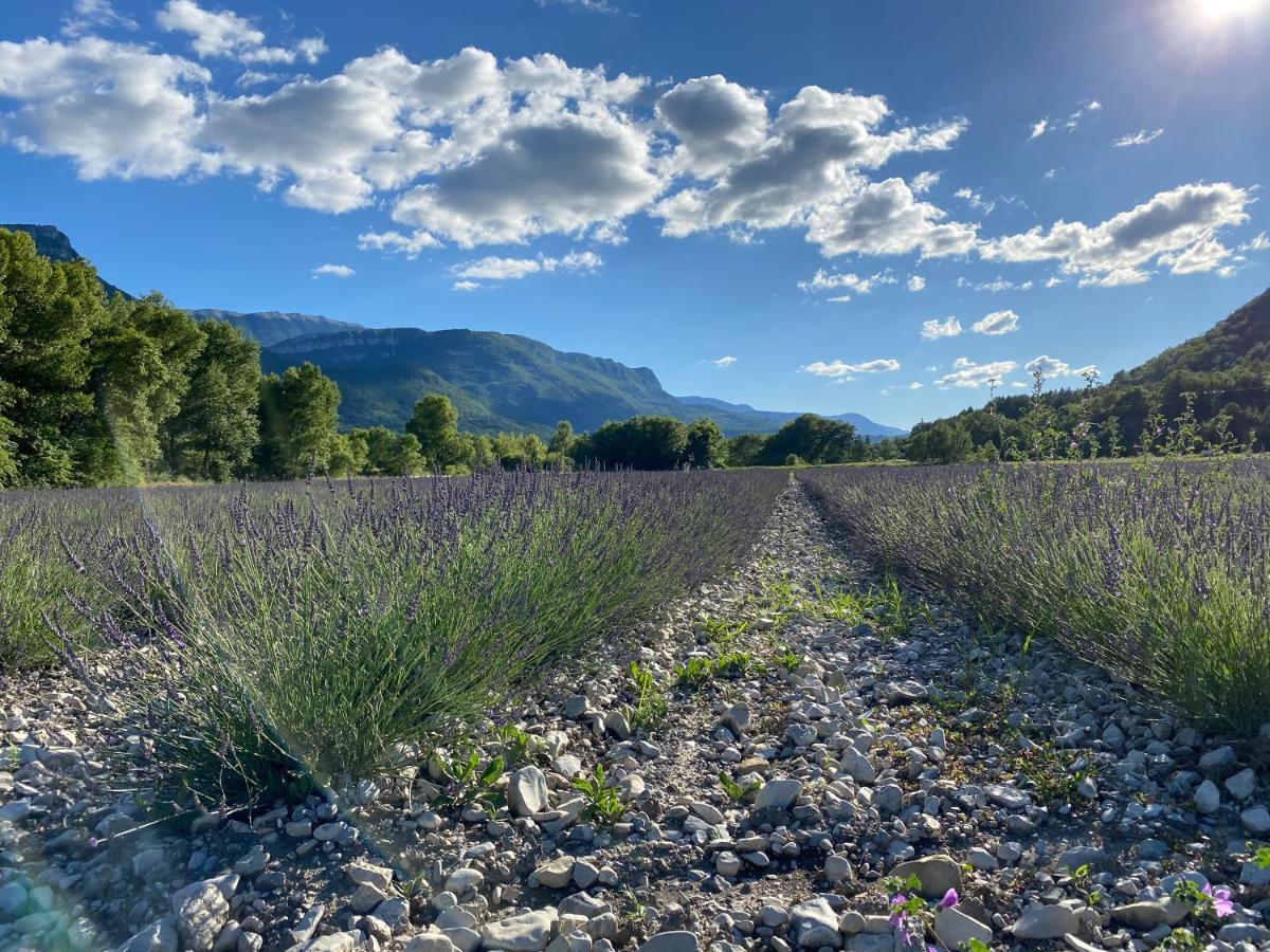 Gite En Haute Provence Montfroc エクステリア 写真
