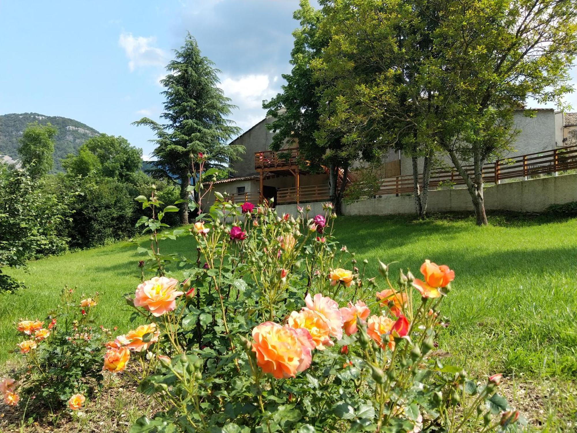 Gite En Haute Provence Montfroc エクステリア 写真