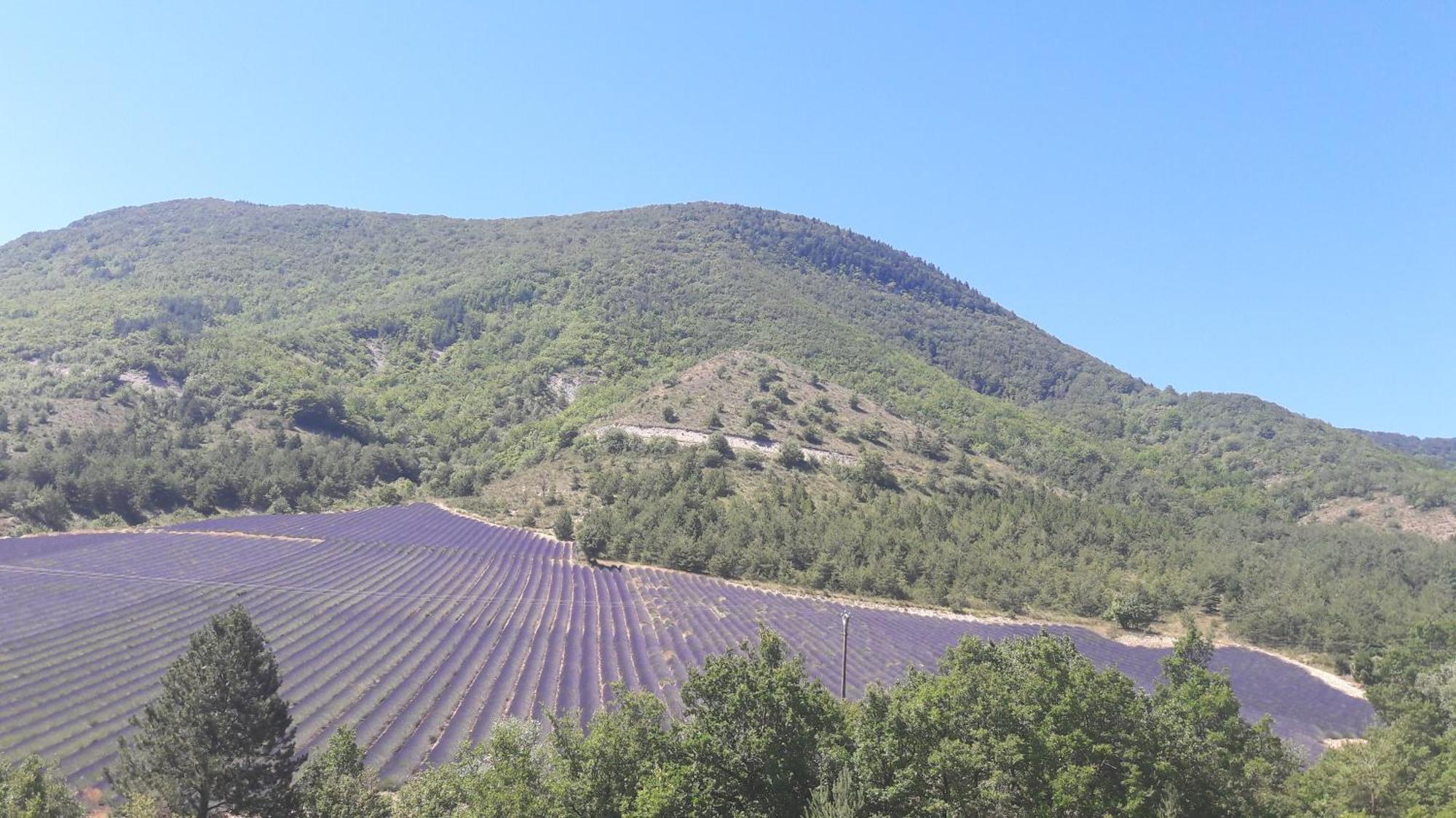 Gite En Haute Provence Montfroc エクステリア 写真